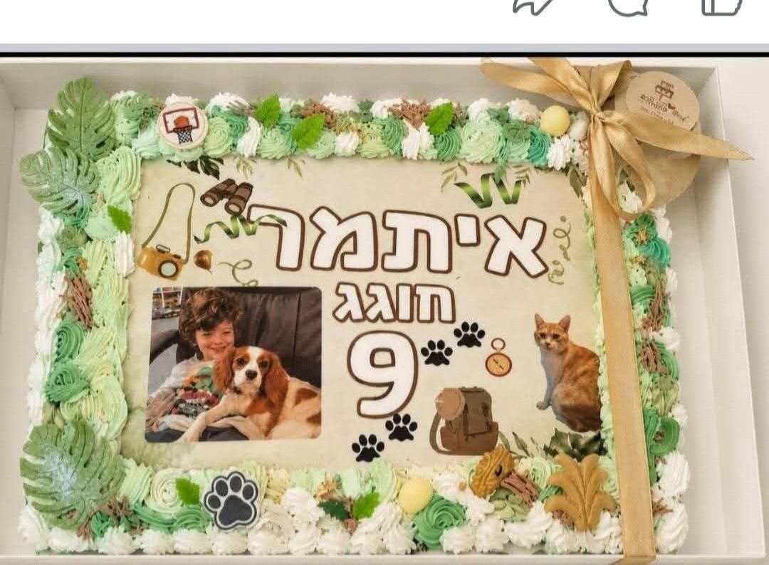 עבודה של מיה כוכבא