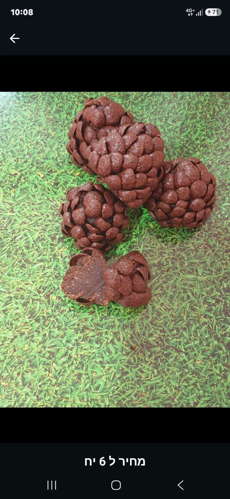עבודה של albroder cake